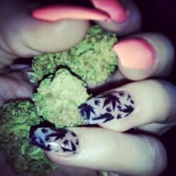 weed-finger-nail-decals-51-apeshit-shirt-lady-marijuana-weed-leaf-decals-fingernail-apeshit-clothing-tupac